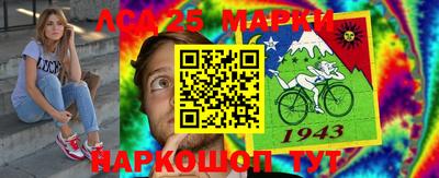 гашик Новокубанск