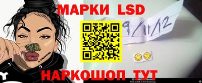 гашик Новокубанск