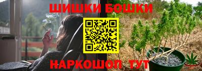 гашик Новокубанск