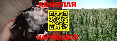 гашик Новокубанск