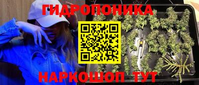 мдма Новодвинск